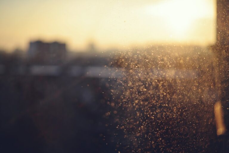 Particulas De Poeira Brilham Na Luz Dourada Do Por Do Sol 4ku3KQ8PyE